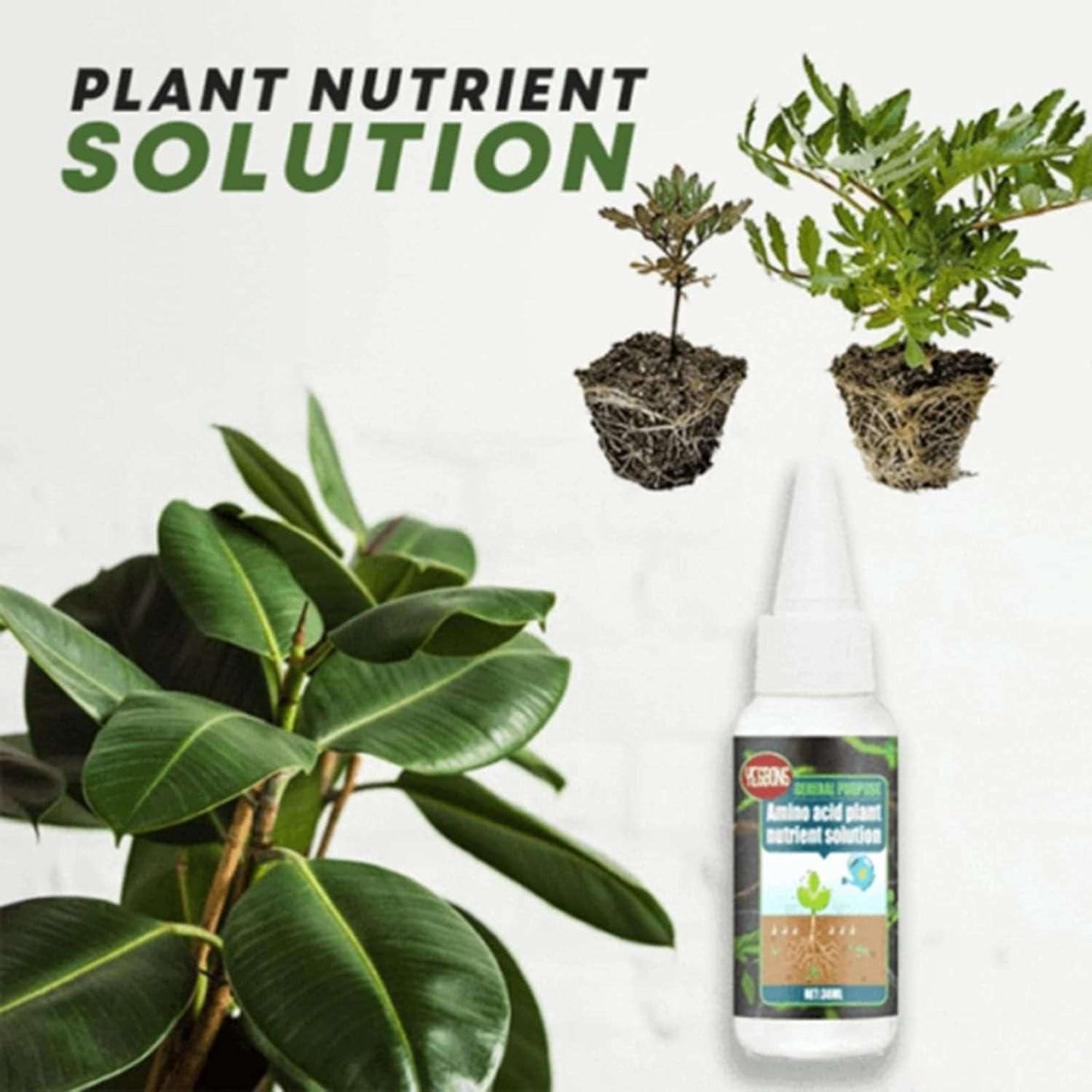 Buy The New Magic Plant Nutrient Solution, Hydroponic Liquid Plant Fertilizer Nutrient Solution Seedling Recovery Root Growth (30ml)(Pack Of 1) - BestCart