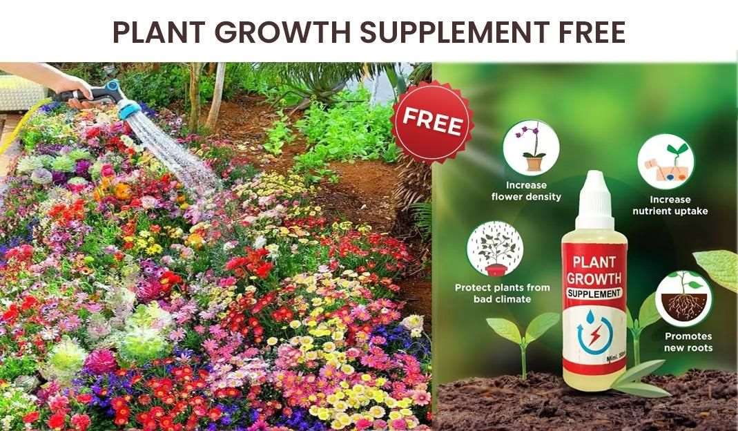 Buy The New Buy Varieties of Flower Seeds (Pack of 100) And Get Plant Growth Supplement Free - BestCart