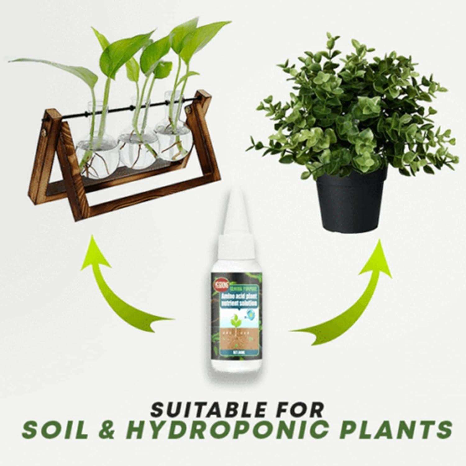 Buy The New Magic Plant Nutrient Solution, Hydroponic Liquid Plant Fertilizer Nutrient Solution Seedling Recovery Root Growth (30ml)(Pack Of 1) - BestCart