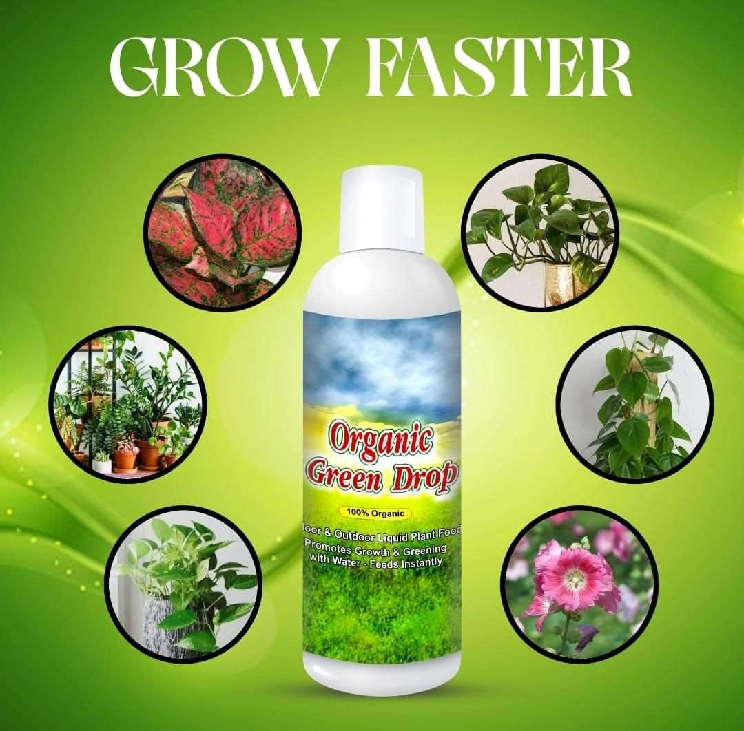 Buy The New Organic GreenDrop Plant Food Liquid Fertilizer For Plant Growth & Greening Pack of 2 - BestCart