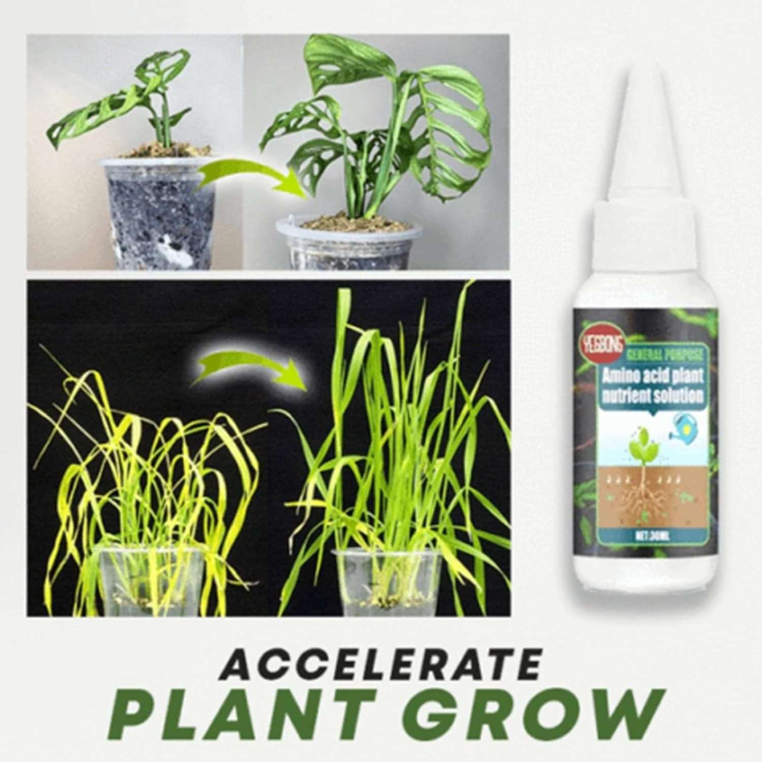 Buy The New Magic Plant Nutrient Solution, Hydroponic Liquid Plant Fertilizer Nutrient Solution Seedling Recovery Root Growth (30ml)(Pack Of 1) - BestCart