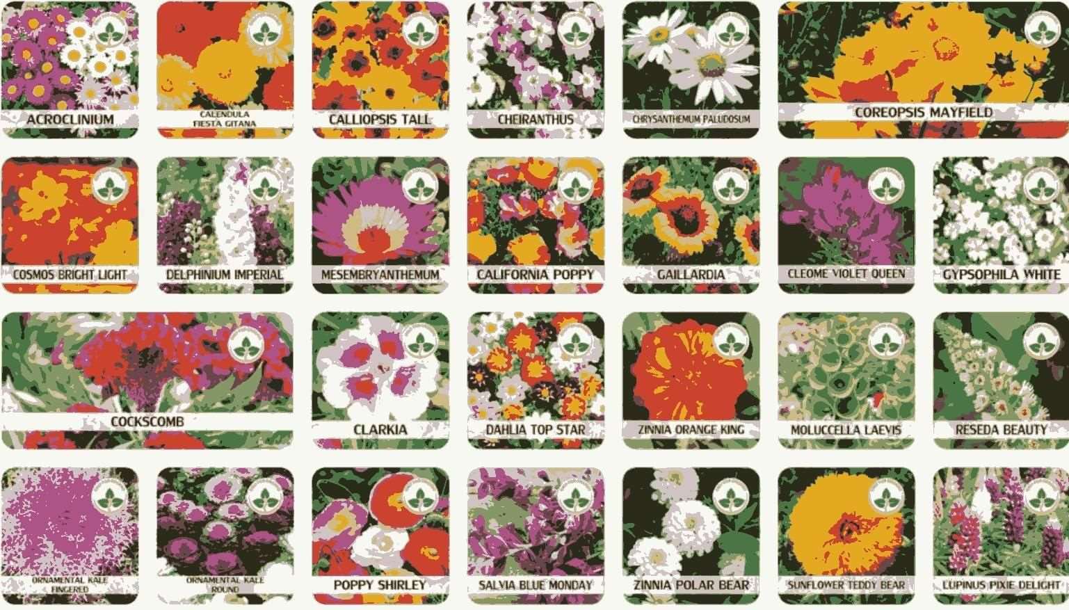 Buy The New Buy Varieties of Flower Seeds (Pack of 100) And Get Plant Growth Supplement Free - BestCart