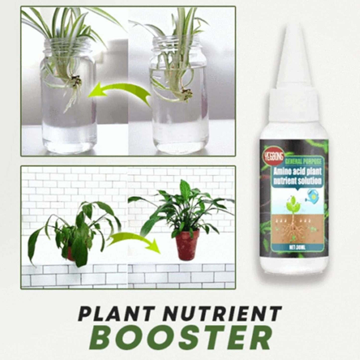 Buy The New Magic Plant Nutrient Solution, Hydroponic Liquid Plant Fertilizer Nutrient Solution Seedling Recovery Root Growth (30ml)(Pack Of 1) - BestCart