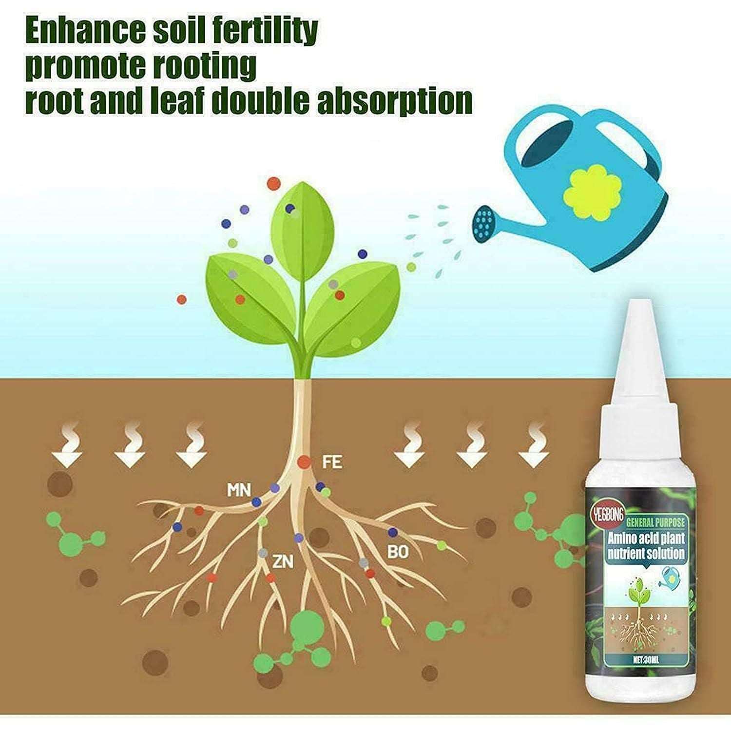 Buy The New Magic Plant Nutrient Solution, Hydroponic Liquid Plant Fertilizer Nutrient Solution Seedling Recovery Root Growth (30ml)(Pack Of 1) - BestCart